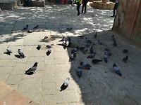 Kathmandu