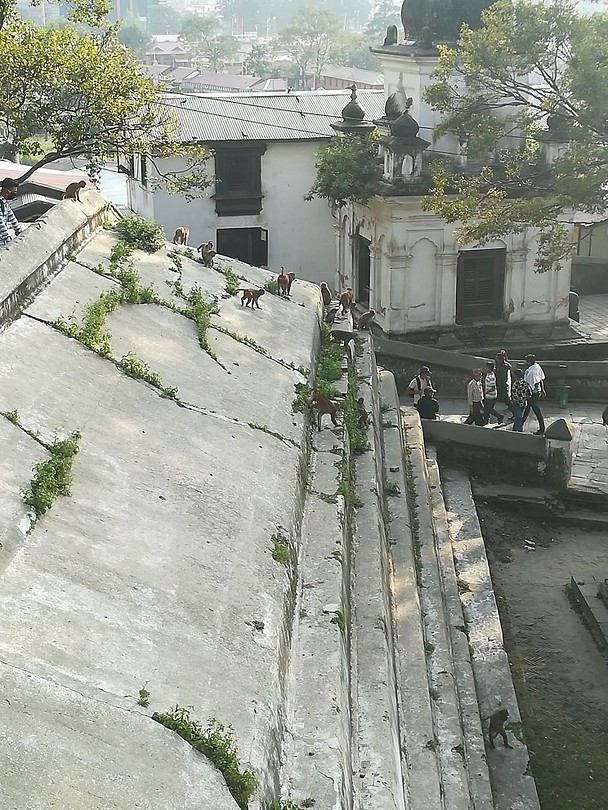 Pashupatinath