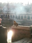 Pashupatinath