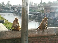 Pashupatinath