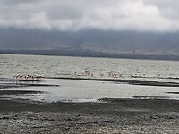 IMG_9577