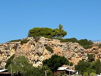 konijnen
