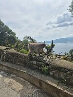 Gibraltar 08
