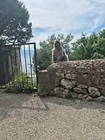 Gibraltar 09