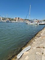 28 zwemmen