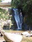IMG_0408