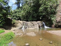 IMG_0462