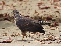 IMG_0470