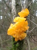 20201220_150429