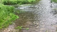 Hoogwater