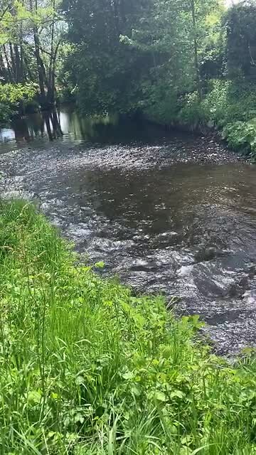 De bovenloop van de Main