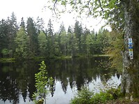 1070290