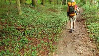 Dag 39: Mierenhoop onderweg