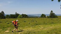 Dag 46: Afdaling van de Mont d'Or