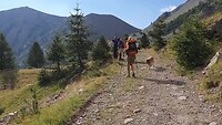 Etappe 80: Langs schapen, honden en herders