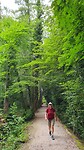 Door het bos