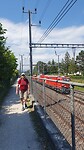 Langs het spoor