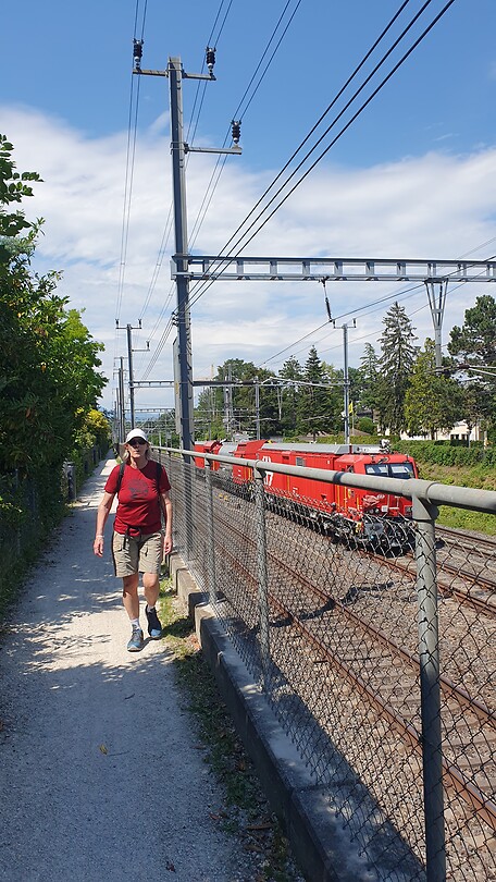Langs het spoor