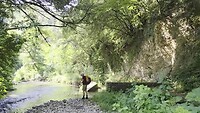 Door de torrente Farfa