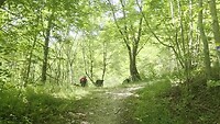 Rustpauze met druiven