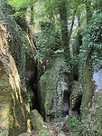 Veel groen