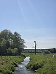 Ooievaar landt op het nest