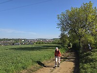 Vertrek uit Diest