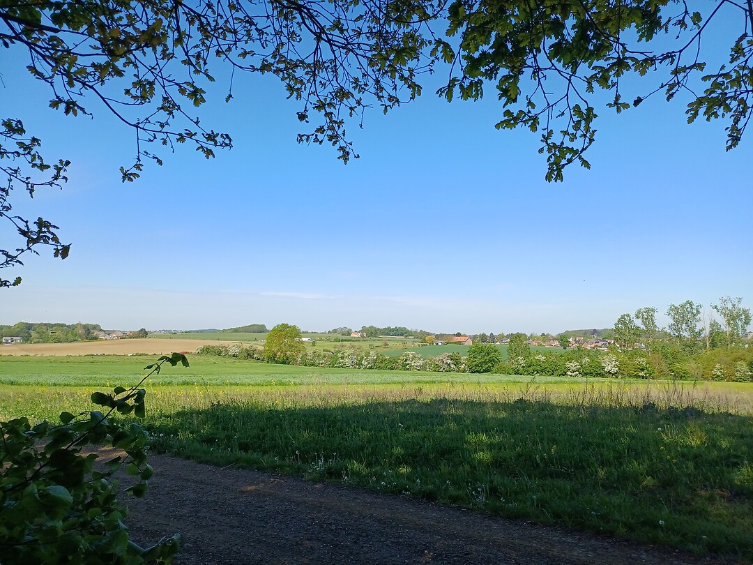 Even buiten Diest