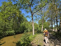 Het water kleurt roestbruin