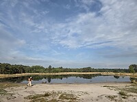 De Kalmthoutse heide