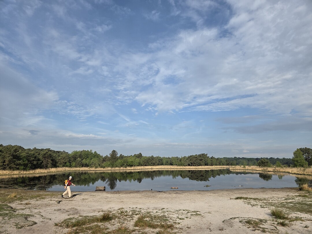 De Kalmthoutse heide