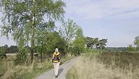 Over de Kalmthoutse heide