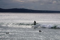 Golf surfer