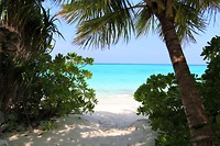 Ons strand bij het huisje