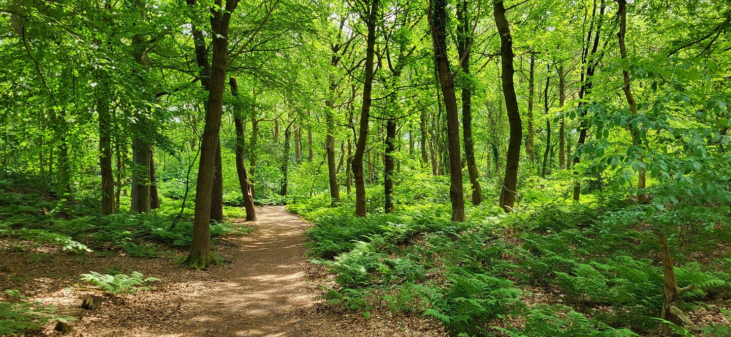 20240517_133931