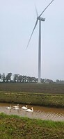 20241108_093254