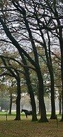 20241108_095631