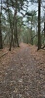 20241213_093058