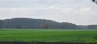 20251115_114155