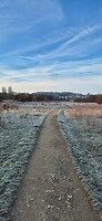 20260209_085635