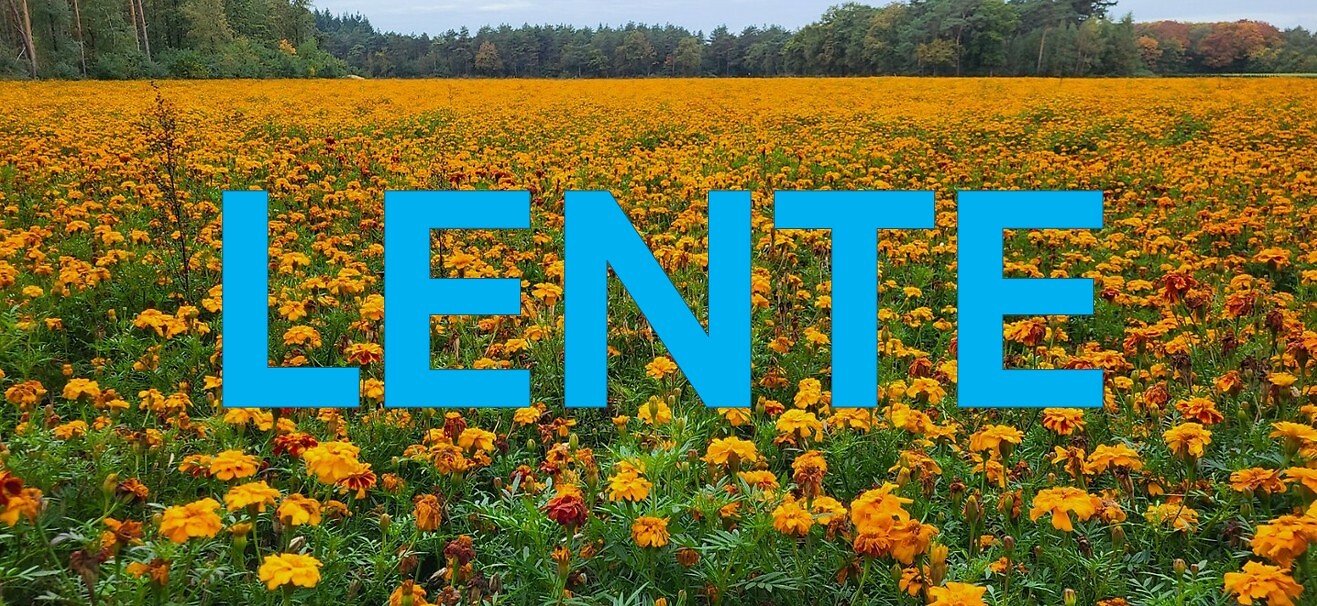 LENTE