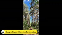 Grenslandpad etappe 18: Stramproy - Hamont (BE)