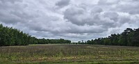 20260520_104503
