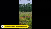 Grenslandpad etappe 14 (Witrijt - Reusel)