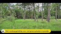 Grenslandpad etappe 13 (Reusel - Esbeek)