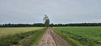 20260608_105600