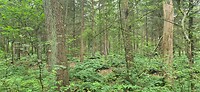 20260608_125238