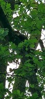 20260608_130623