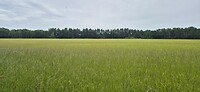 20260608_132016
