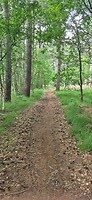 20260608_142907
